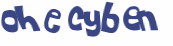 CAPTCHA 挑戰