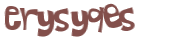 CAPTCHA 挑戰