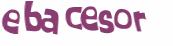 CAPTCHA-haaste