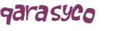 CAPTCHA 挑戰