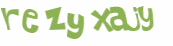 CAPTCHA 挑戰