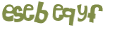 Captcha 챌린지