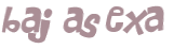 CAPTCHA 挑戰