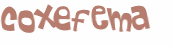Desafio Captcha