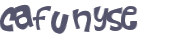 CAPTCHA 挑戰