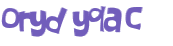 Wyzwanie captcha
