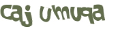 CAPTCHA-haaste