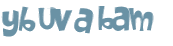 Captcha 챌린지