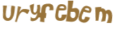 Captcha挑战