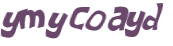 Captcha 챌린지