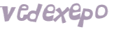 キャプチャ認証