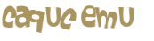 Desafio captcha