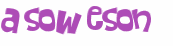 Captcha 챌린지