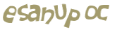 Captcha 챌린지