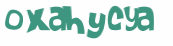 CAPTCHA 挑戰