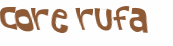 Desafio captcha