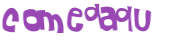 Desafio Captcha