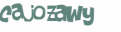 CAPTCHA-haaste