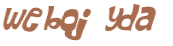 Wyzwanie captcha