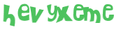 CAPTCHA 挑戰