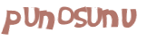 Desafio captcha