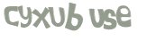 CAPTCHA-haaste