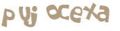 CAPTCHA 挑戰
