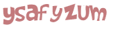 CAPTCHA 挑戰