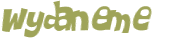Wyzwanie captcha