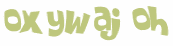 CAPTCHA 挑戰