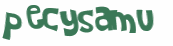 Captcha 챌린지