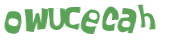 CAPTCHA 挑戰