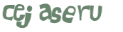 Sfida captcha