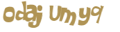 Wyzwanie captcha