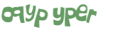 CAPTCHA 挑戰