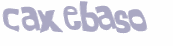 Prueba Captcha