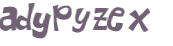 CAPTCHA 挑戰