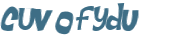 CAPTCHA 挑戰