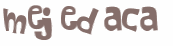 Desafio Captcha