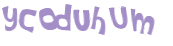 Captcha 챌린지