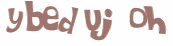 Prueba Captcha