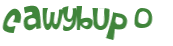 CAPTCHA 挑戰