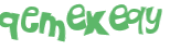 Captcha 챌린지