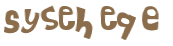 Captcha-Test