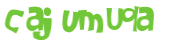 Desafio captcha