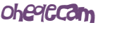 CAPTCHA 挑戰