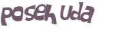 Wyzwanie captcha