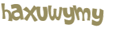 CAPTCHA 挑戰