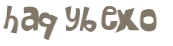 CAPTCHA 挑戰