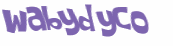 Wyzwanie captcha